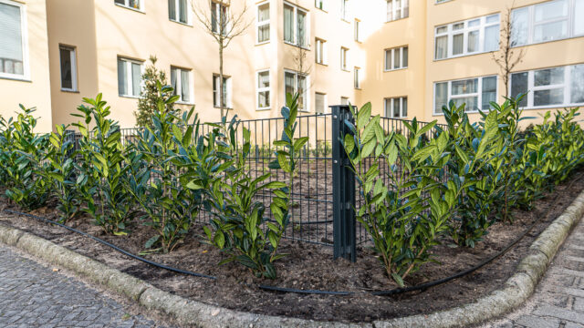 lencro_reichsstraße-10