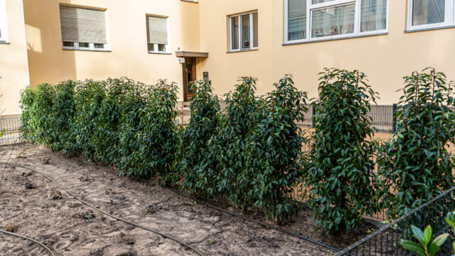 lencro_reichsstraße-11