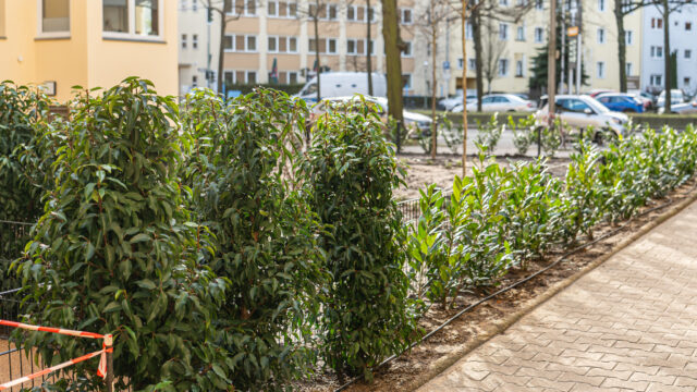 lencro_reichsstraße-15