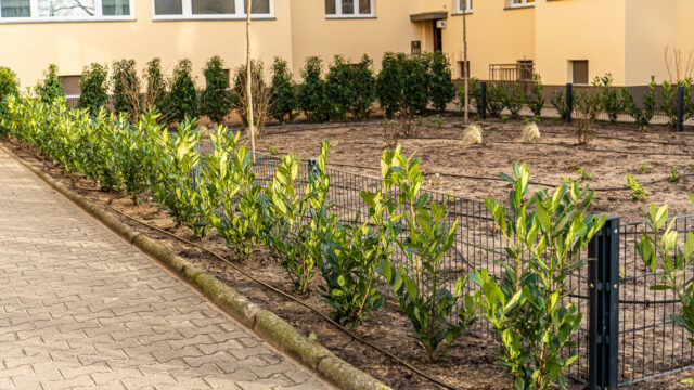 lencro_reichsstraße-16
