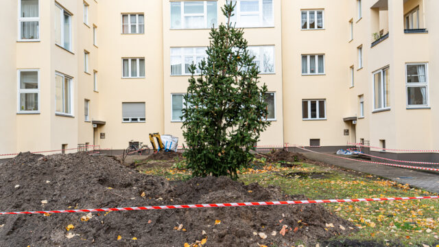 lencro_reichsstraße-50