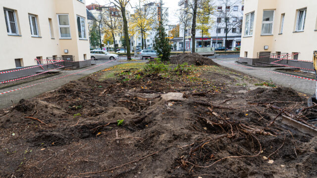 lencro_reichsstraße-53