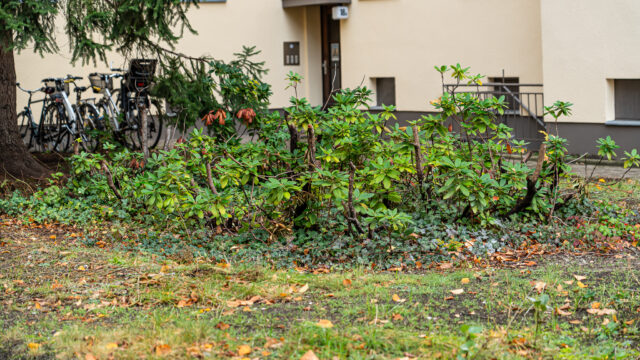lencro_reichsstraße-62