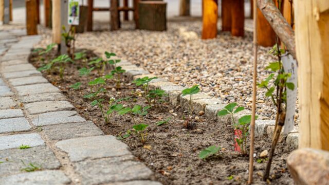 Lencro-Gartenbau-Terrassenbau-Landschaftsbau-Perlebergstr-21