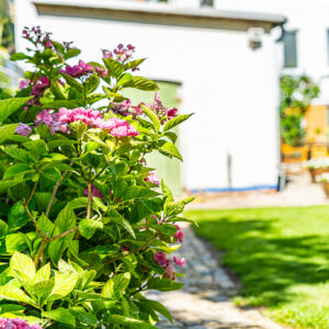 lencro_gartenbau_2_villen_verbinden-02