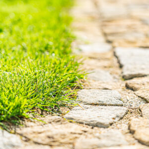 lencro_gartenbau_2_villen_verbinden-03