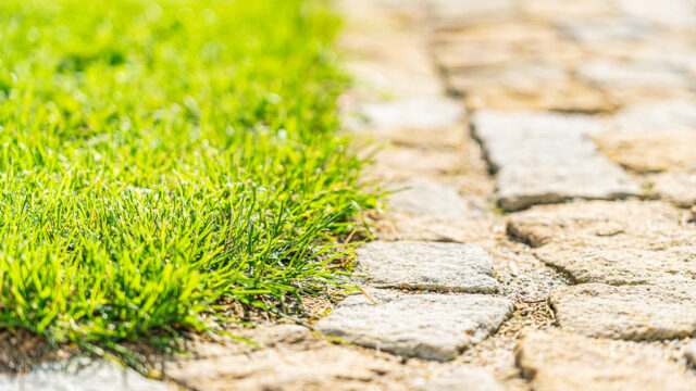 lencro_gartenbau_2_villen_verbinden-03