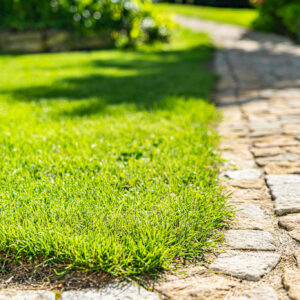 lencro_gartenbau_2_villen_verbinden-04