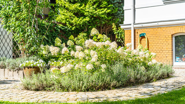 lencro_gartenbau_2_villen_verbinden-10