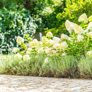 lencro_gartenbau_2_villen_verbinden-15
