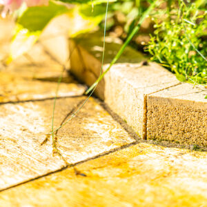 lencro_gartenbau_projekt_hausumlauf-18