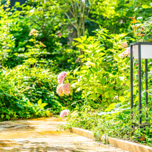 lencro_gartenbau_projekt_hausumlauf-21