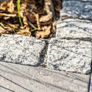 lencro_projekt_haus_mit_garten-10