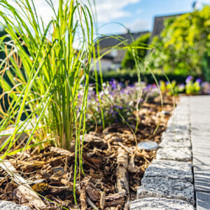 lencro_projekt_haus_mit_garten-12