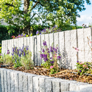 lencro_projekt_haus_mit_garten-15