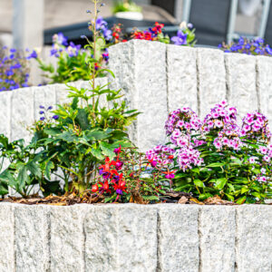 lencro_projekt_haus_mit_garten-24