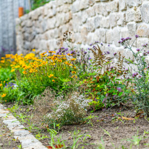 lencro_gartenbau_projekt_gartenparzelle-04