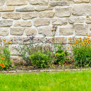 lencro_gartenbau_projekt_gartenparzelle-09