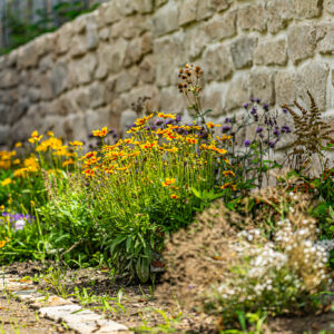 lencro_gartenbau_projekt_gartenparzelle-21