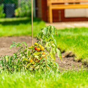 lencro_gartenbau_projekt_gartenparzelle-22