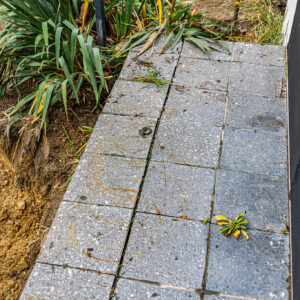 lencro_gartenbau_projekt_gewinnspiel_gala_bau_garten-07