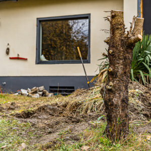 lencro_gartenbau_projekt_gewinnspiel_gala_bau_garten-09