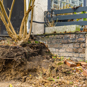 lencro_gartenbau_projekt_gewinnspiel_gala_bau_garten-23