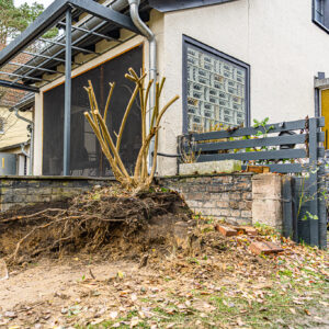 lencro_gartenbau_projekt_gewinnspiel_gala_bau_garten-24