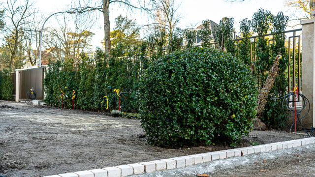 lencro_projekt_stadtvilla_garten_gala-41
