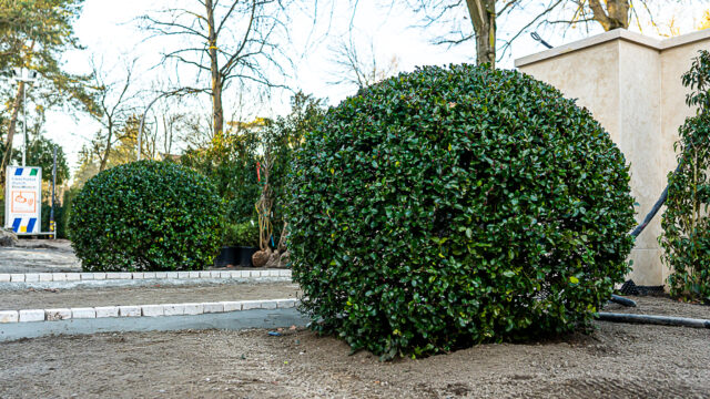 lencro_projekt_stadtvilla_garten_gala-49
