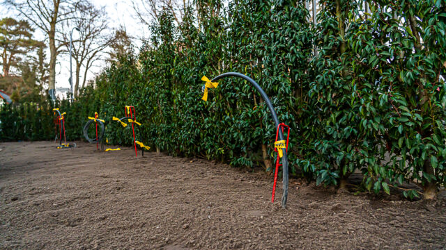 lencro_projekt_stadtvilla_garten_gala-56