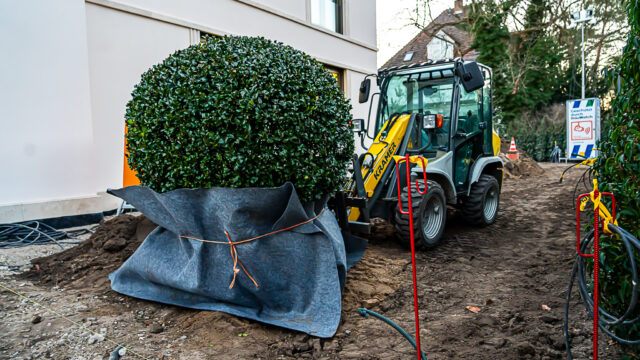 lencro_projekt_stadtvilla_garten_gala-64