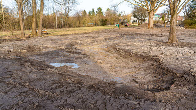 lencro_gartenbau_garten_teichgarten-11
