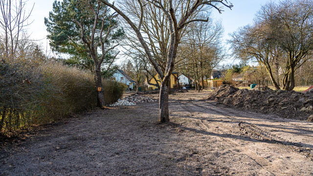 lencro_gartenbau_garten_teichgarten-12