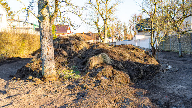 lencro_gartenbau_garten_teichgarten-12