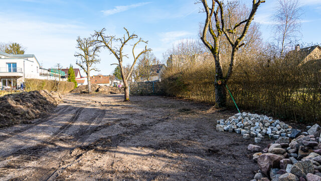 lencro_gartenbau_garten_teichgarten-13