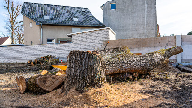 lencro_gartenbau_garten_teichgarten-5