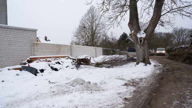 lencro_gartenbau_projekt_teichgarten-03
