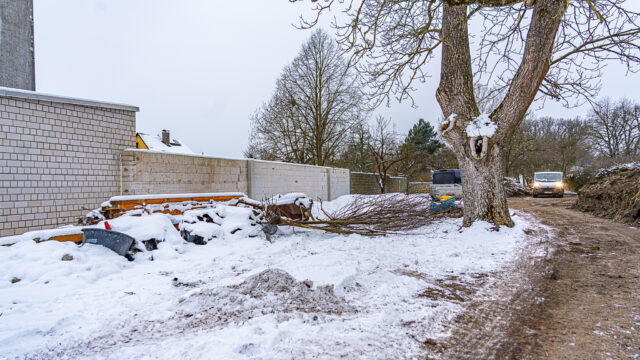 lencro_gartenbau_projekt_teichgarten-04