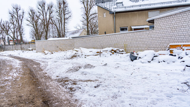 lencro_gartenbau_projekt_teichgarten-06