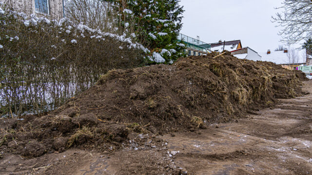 lencro_gartenbau_projekt_teichgarten-09