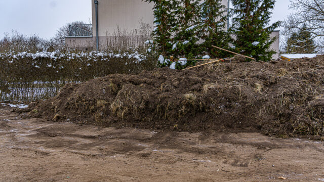 lencro_gartenbau_projekt_teichgarten-10