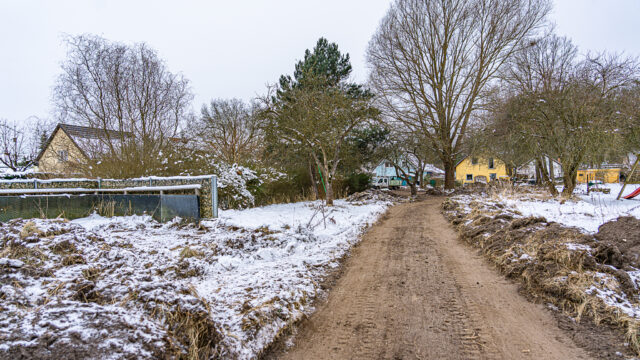 lencro_gartenbau_projekt_teichgarten-15