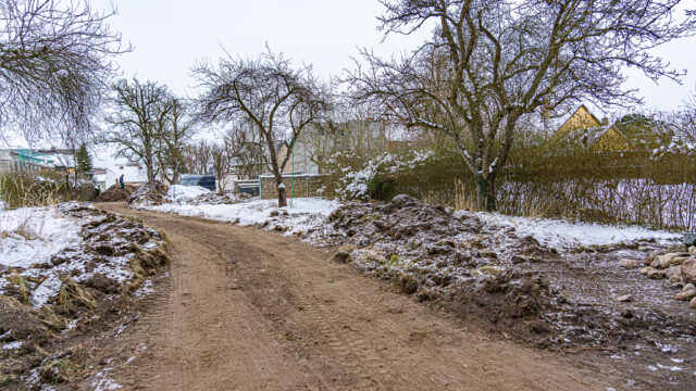 lencro_gartenbau_projekt_teichgarten-18