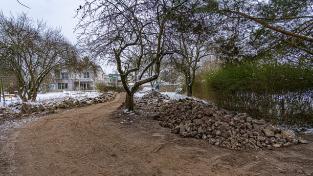 lencro_gartenbau_projekt_teichgarten-19