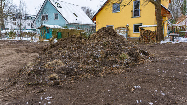 lencro_gartenbau_projekt_teichgarten-24